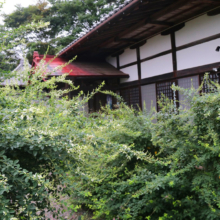 長瀞秋の七草萩の画像